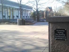 A very specific sign outside the Woodrow Wilson School, Princeton.